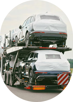 Car & Bike Transportation Services