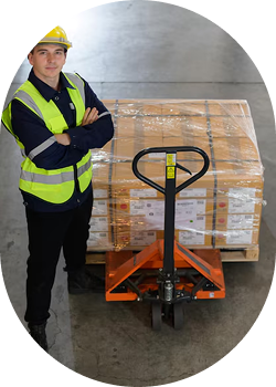 Car & Bike Transportation Services